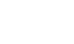 beldent