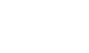 Selton logo